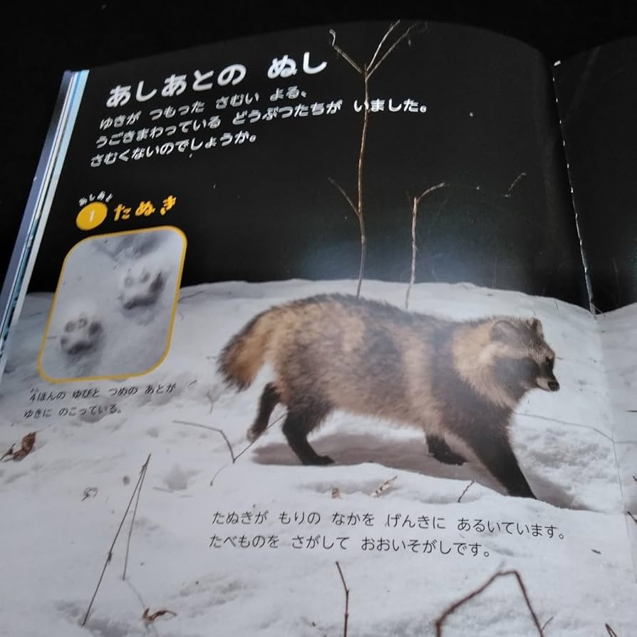 Amazon.co.jp: f-363 しぜんキンダーブック2月号 フレーベル館※6